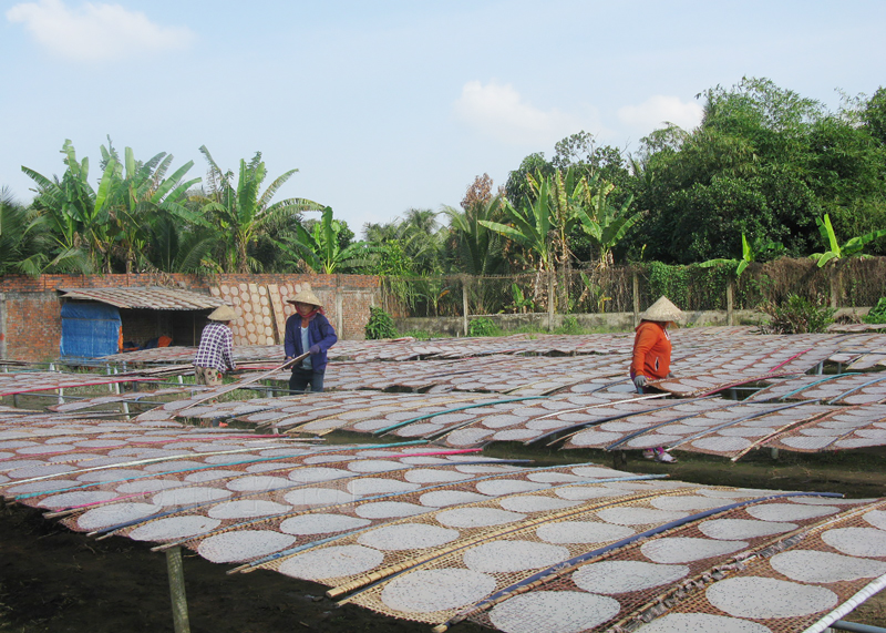 Làng nghề bánh tráng truyền thống lâu đời tại Bến Tre