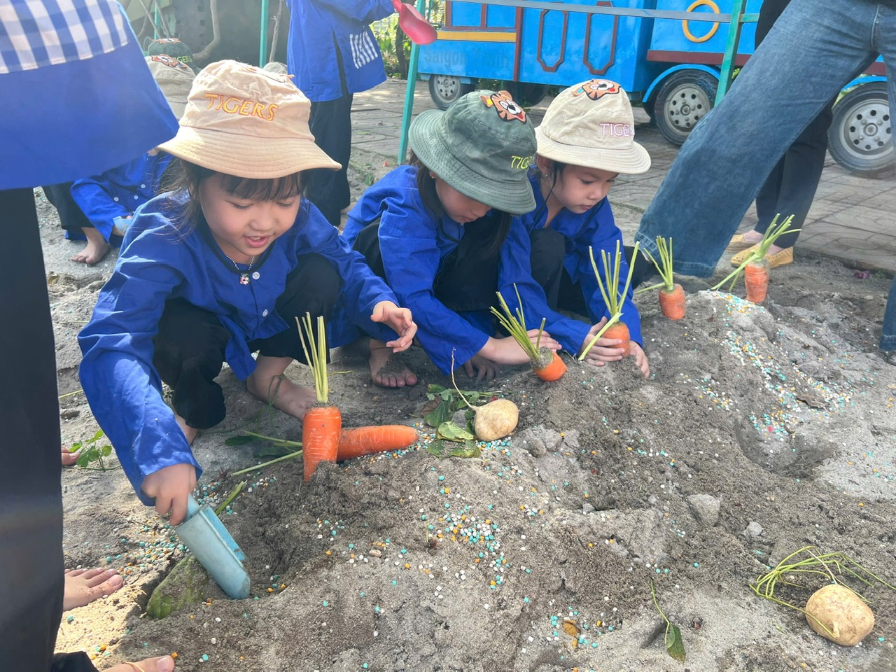 Làm nông : đào khoai, trồng hoa bằng chai nhựa tái chế