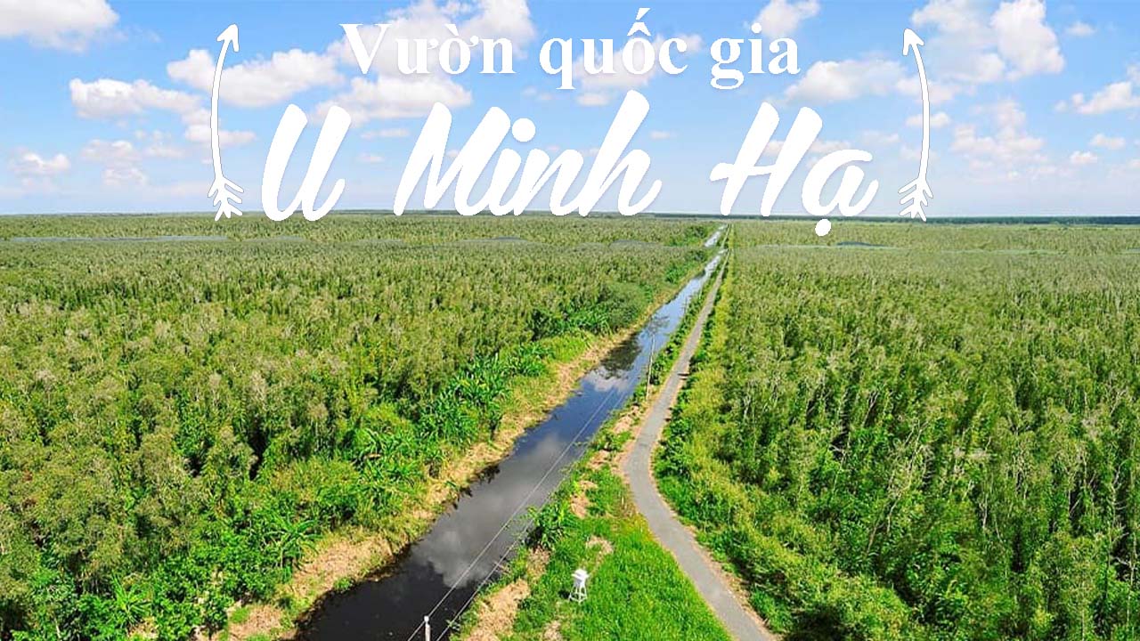Vườn quốc gia U Minh Hạ – nơi lưu giữ vẻ đẹp hoang sơ hiếm có